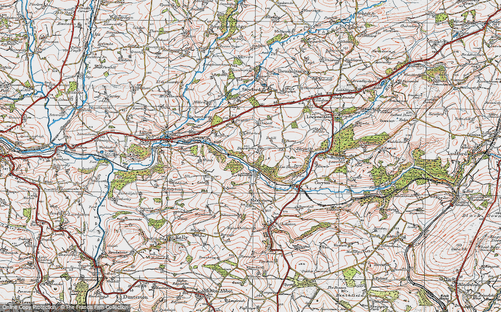 Old Map of Historic Map covering Blackdown Wood in 1919