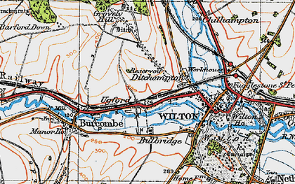 Old map of Ditchampton in 1919