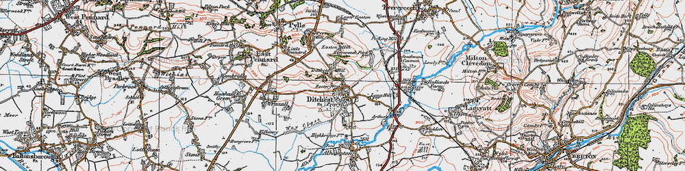 Old map of Ditcheat in 1919