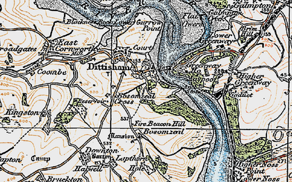 Old map of Dittisham in 1919