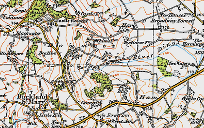 Old map of Dommett in 1919