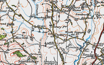 Old map of Limbury in 1919