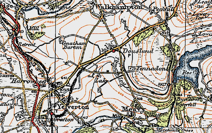 Old map of Dousland in 1919