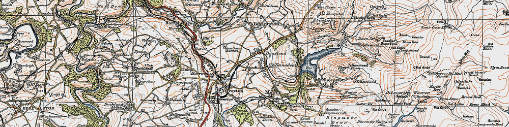 Old map of Dousland in 1919