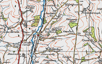 Old map of Downicary in 1919