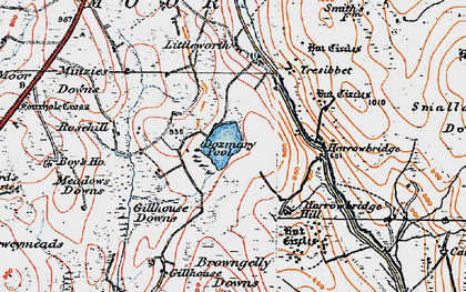 Old map of Browngelly Downs in 1919