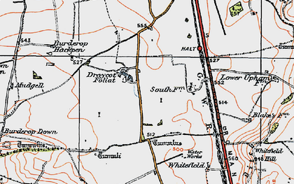 Old map of Burderop Down in 1919
