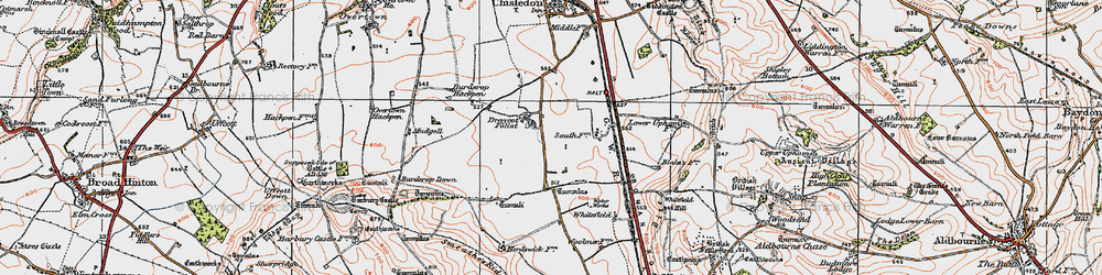 Old map of Burderop Down in 1919
