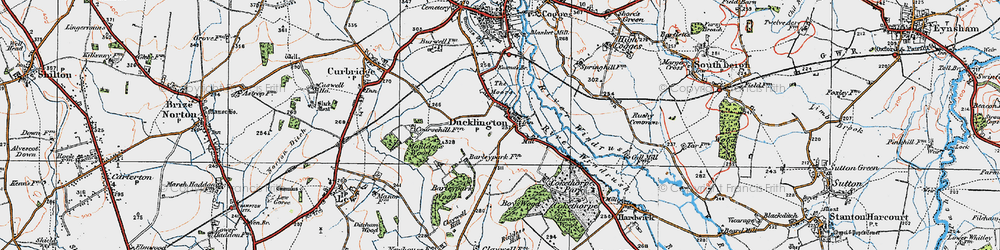 Old map of Ducklington in 1919