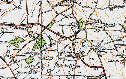 Old map of Dulford in 1919