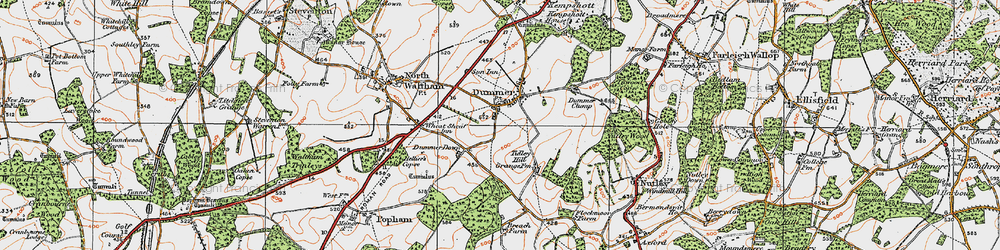 Old map of Dummer in 1919