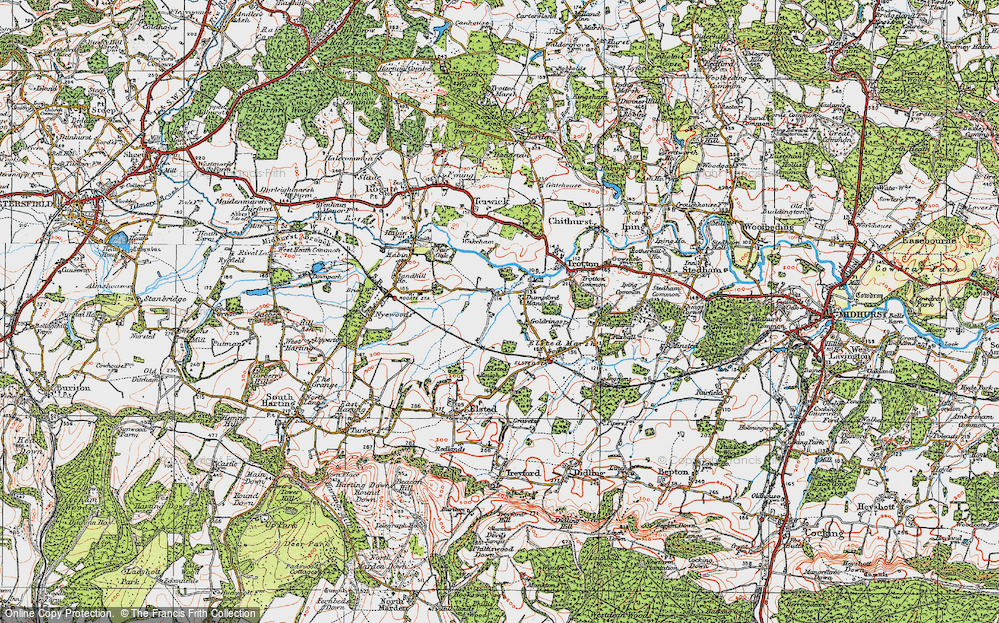 Old Map of Dumpford, 1919 in 1919