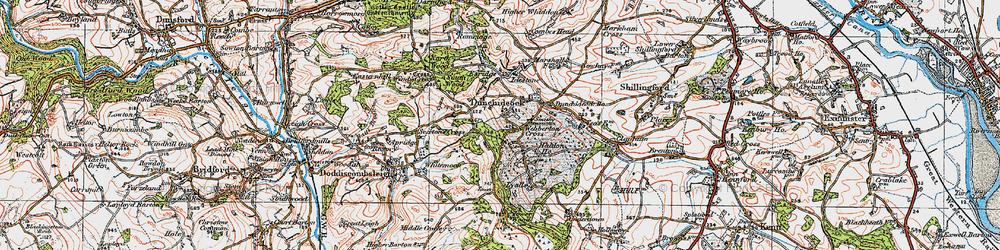 Old map of Dunchideock in 1919