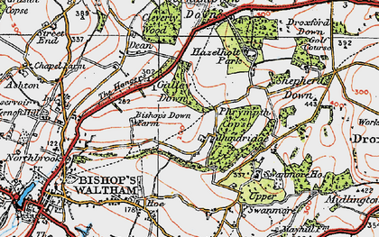 Old map of Dundridge in 1919