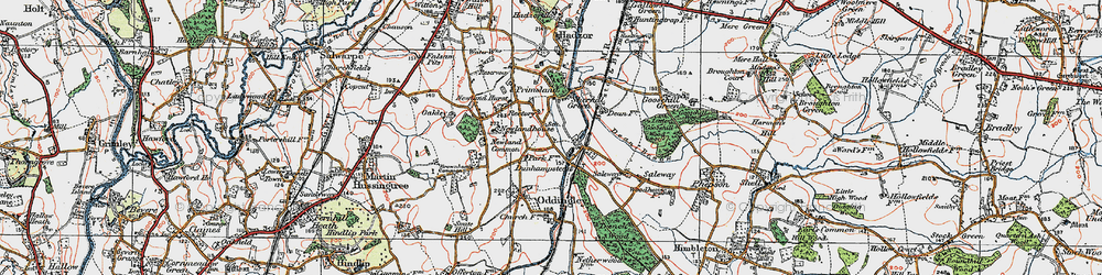 Old map of Dunhampstead in 1919