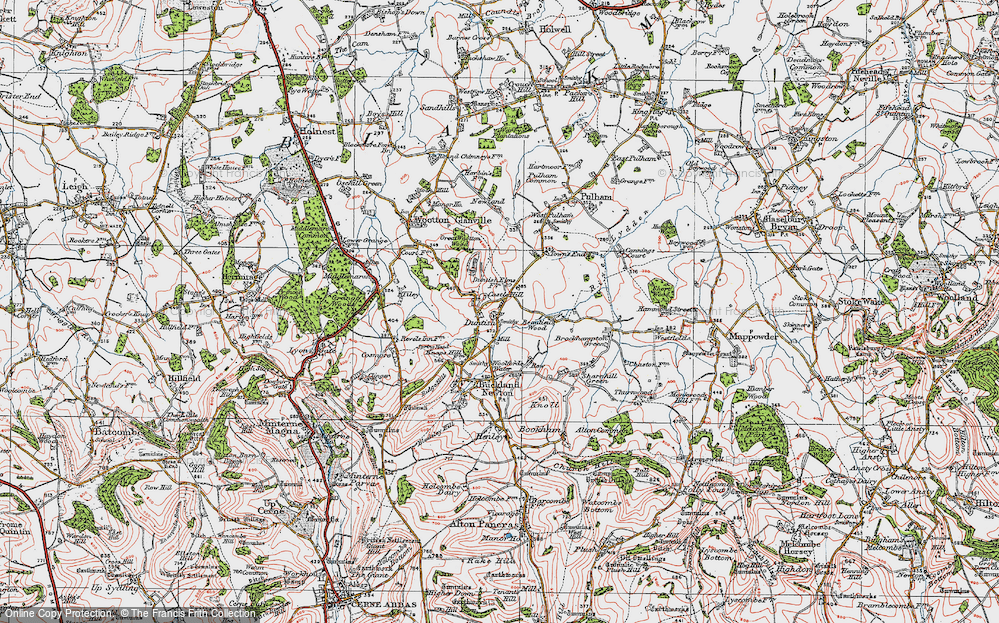 Old Map of Duntish, 1919 in 1919