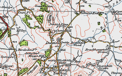Old map of Duntish in 1919