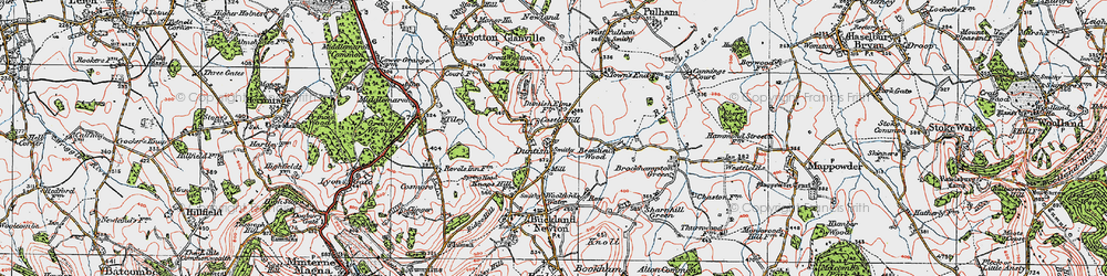 Old map of Duntish in 1919