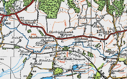 Old map of Durleighmarsh in 1919