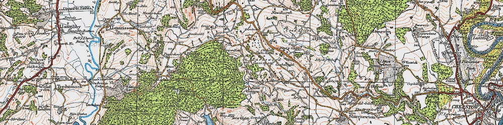 Old map of Bica Common in 1919
