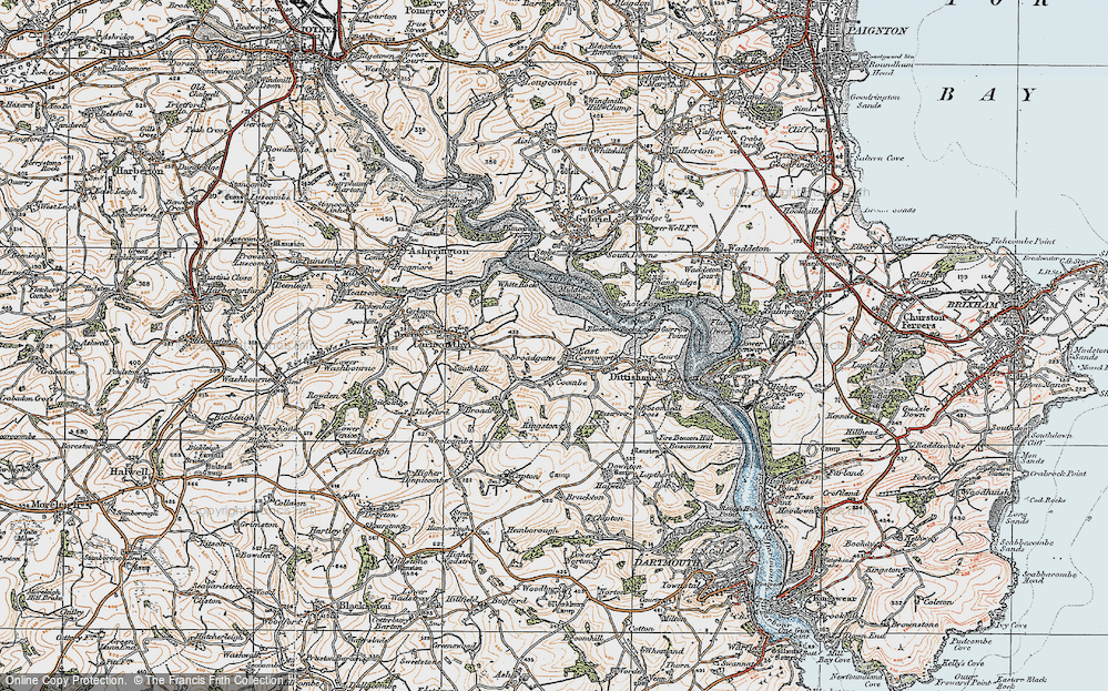 Old Map of East Cornworthy, 1919 in 1919
