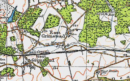 Old map of East Grimstead in 1919