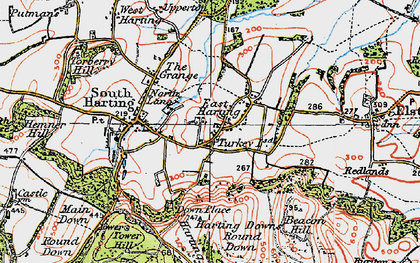 Old map of East Harting in 1919