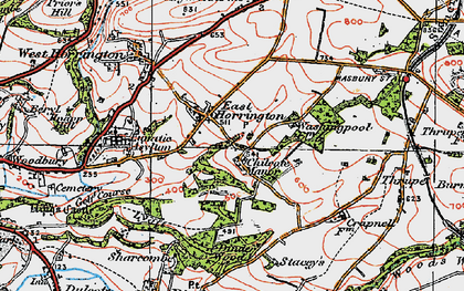 Old map of East Horrington in 1919