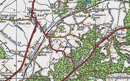 Old map of East Liss in 1919