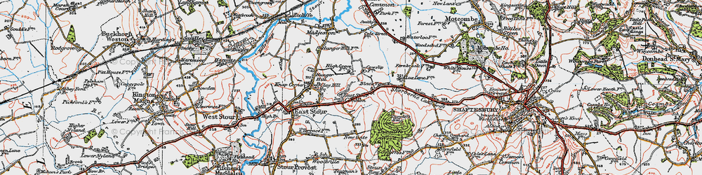 Old map of East Stour Common in 1919
