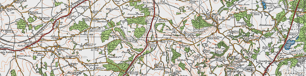 Old map of East Tisted in 1919