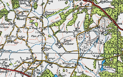 Old map of East Wellow in 1919