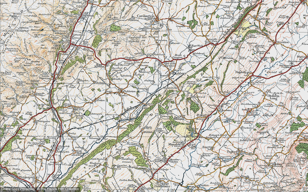 In 1920