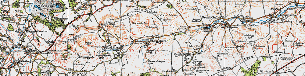 Old map of Ebbesbourne Wake in 1919