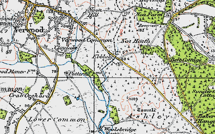 Old map of Ebblake in 1919