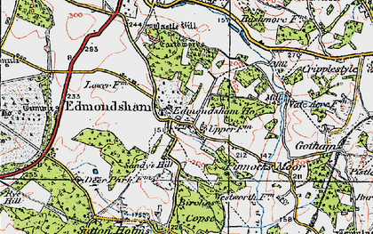 Old map of Edmondsham in 1919