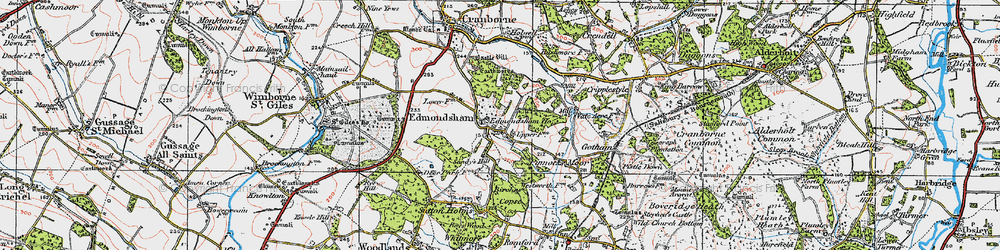 Old map of Edmondsham in 1919