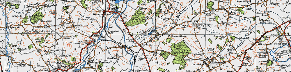 Old map of Austy Wood in 1919