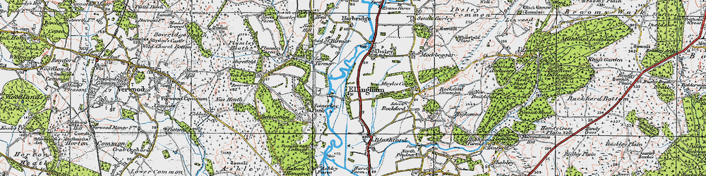 Old map of Ellingham in 1919