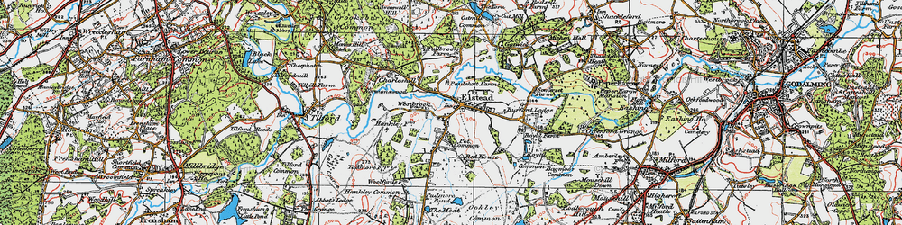 Old map of Elstead in 1919