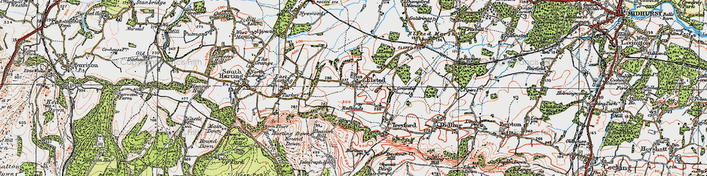 Old map of Elsted in 1919