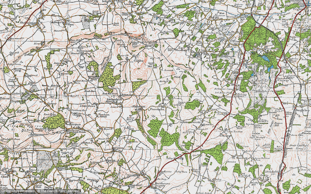 Old Map of Faccombe, 1919 in 1919