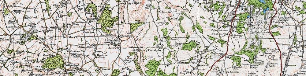 Old map of Faccombe in 1919
