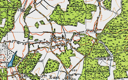 Old map of Blackmoor Copse in 1919