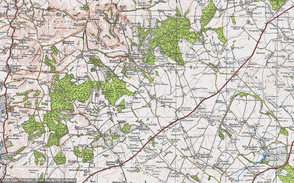 Old Map of Farnham, 1919 in 1919