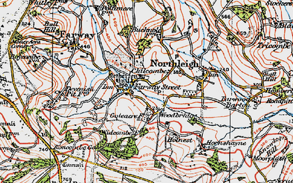 Old map of Widcombe Wood in 1919