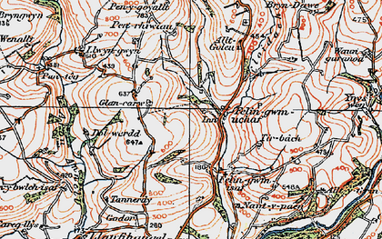Old map of Allt-y-golau-Uchaf in 1923