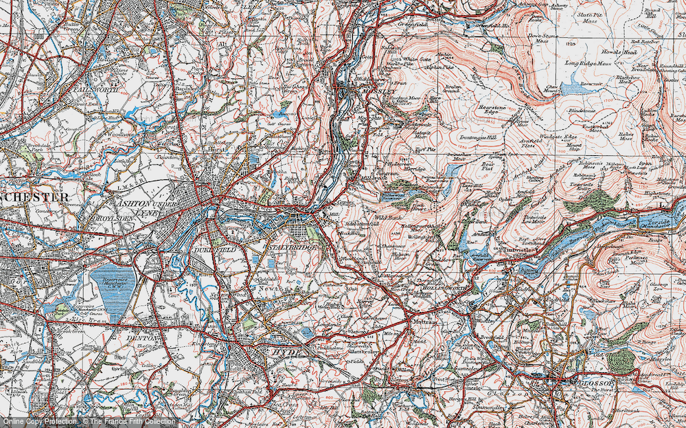 Fern Bank, 1924