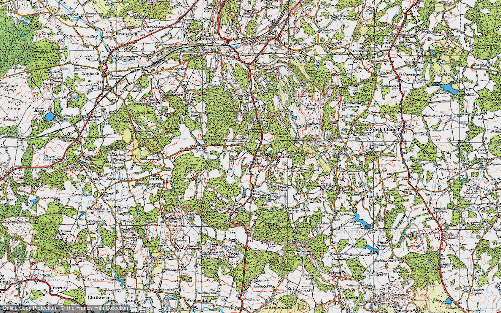Fernhurst, 1919