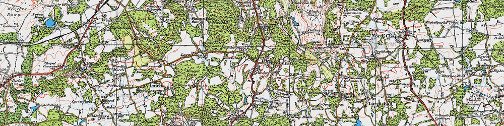 Old map of Fernhurst in 1919